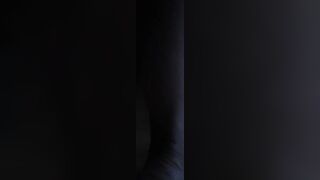 Dressage de chienne partie one