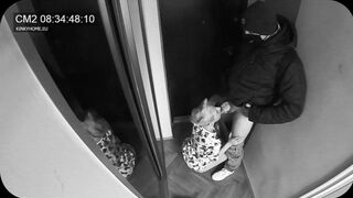 Concealed camera - wifey blown the postman while hubby into