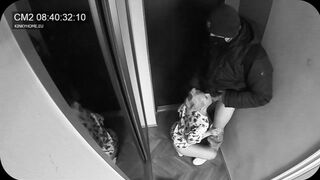 Concealed camera - wifey blown the postman while hubby into