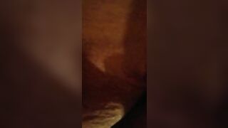 Twat and Anal from the back