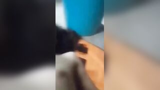 بيرسفى