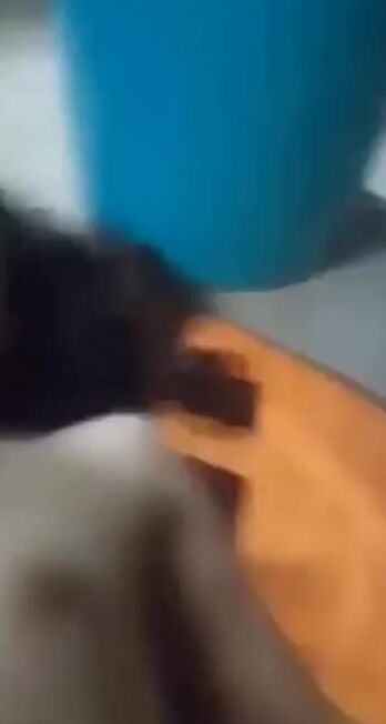 بيرسفى