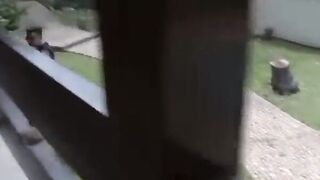 Novinhas gostosas do rabão fudendo