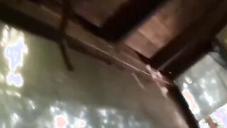 Loirinha gostosa do rabão fudendo com o negão dotado