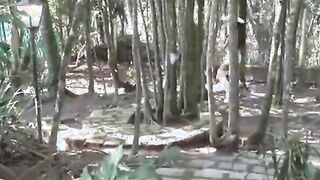 Novinhas gostosas do rabão fudendo com o negão dotado