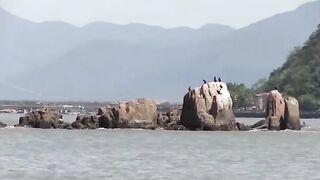 Novinhas gostosas do rabão fudendo com o dotado