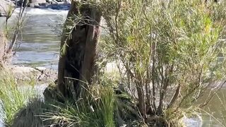 Beim Picknick die haarige Mose gestopft