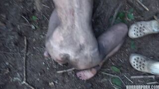 HORROR PORN – The Dark Side of The Woods
