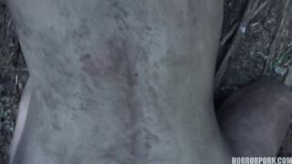 HORROR PORN – The Dark Side of The Woods