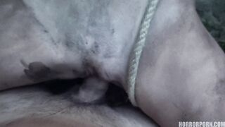 HORROR PORN – The Dark Side of The Woods