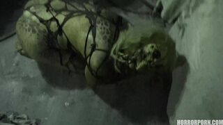 HORROR PORN – Female Spider