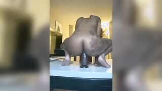 Mini Stallion Dildo