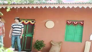 Desi Indian Vovi Web series