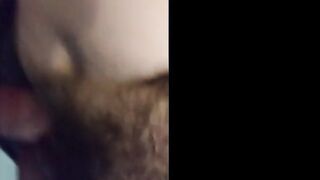 Bushy Cream Pie