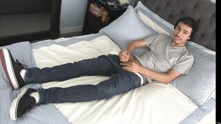 Lb Taz Gay Porn HD 1080p