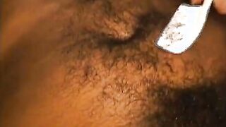 Bushy Amateur #3