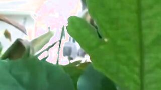 Charity Bangs Offer Travis A Slow Public Hand Job - Charity Bangs Give Travis A Slow Outdoors Hand Job