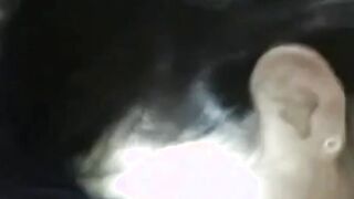 Asian Amateur Loves Interracial BBC Blowjob