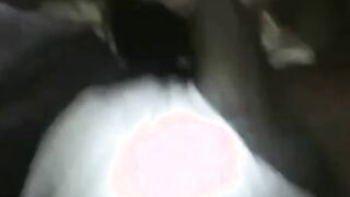 Asian Amateur Loves Interracial BBC Blowjob
