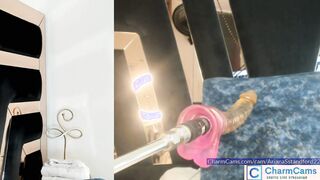 ArianaSstandford22 Seductive showcase at CharmCams