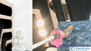 ArianaSstandford22 Seductive showcase at CharmCams