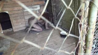 Horror Porn 9 Wild Beast