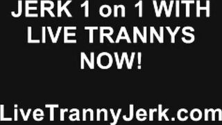 elllyannygirl Ts Web Cam Performance