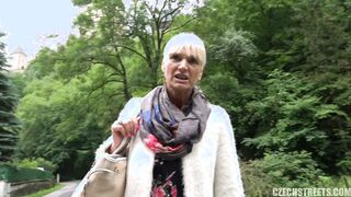 Czech Streets 113: Tour-guide from Karlstejn