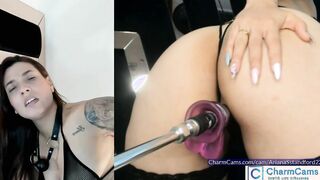 ArianaSstandford22 Seductive showcase at CharmCams