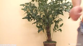 xxlilkittenfaeriexx Elizabeth and Alessandro MelinaRyit - sexonly.top