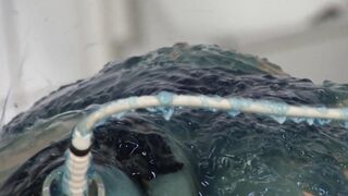 Waxed sub gets mouth boned