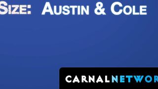 Austin Young leaks a pre-cum just thinking about getting doubled by two handsome tops