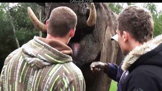 Ariel Vanean, Kevin Warhol And Jean Daniel Chagall Back In Africa Part 6 Condom Free
