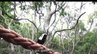 Ariel Vanean, Kevin Warhol And Jean Daniel Chagall Back In Africa Part 6 Condom Free