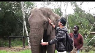 Ariel Vanean, Kevin Warhol And Jean Daniel Chagall Back In Africa Part 6 Condom Free