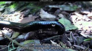 Ariel Vanean, Kevin Warhol And Jean Daniel Chagall Back In Africa Part 6 Condom Free
