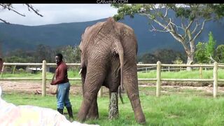 Ariel Vanean, Kevin Warhol And Jean Daniel Chagall Back In Africa Part 6 Condom Free