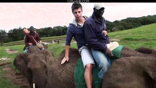 Ariel Vanean, Kevin Warhol And Jean Daniel Chagall Back In Africa Part 6 Condom Free