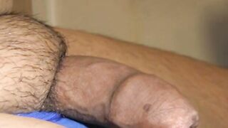 Fat Asian Bear's Erection
