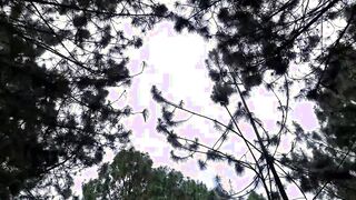 Bikerin mit Knackarsch vogelt im Wald
