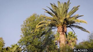Priglasila