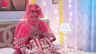 Ragini 2024 Hindi Uncut Web Series Primeplay