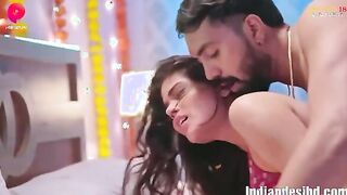 Ragini 2024 Hindi Uncut Web Series Primeplay