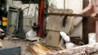 Silver Fox Strokes Wood at the Sawmill