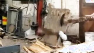 Silver Fox Strokes Wood at the Sawmill