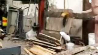 Silver Fox Strokes Wood at the Sawmill