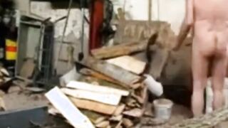 Silver Fox Strokes Wood at the Sawmill