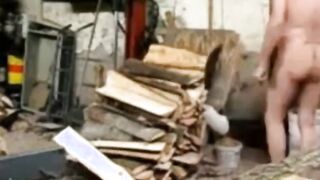 Silver Fox Strokes Wood at the Sawmill