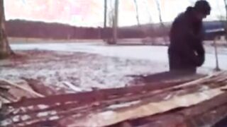 Silver Fox Strokes Wood at the Sawmill