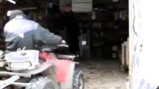Silver Fox Strokes Wood at the Sawmill